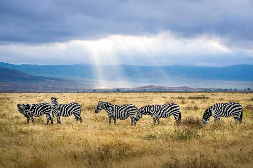 Corporate lawfare & the implications  for rural exclusions in Tanzania’s  conservation-tourism spaces